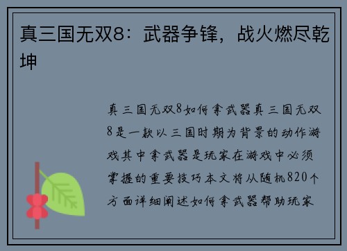 真三国无双8：武器争锋，战火燃尽乾坤